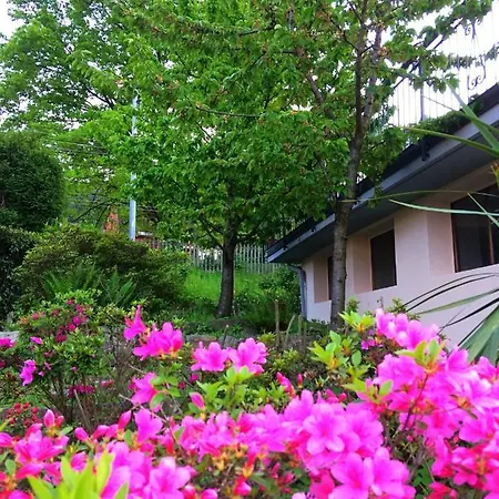 Guest house Il Ciliegio *