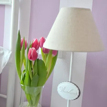 Il Ciliegio Pensjonat