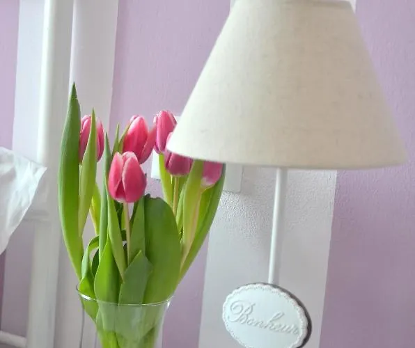 Il Ciliegio Pensión